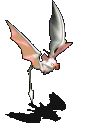 101254.gif